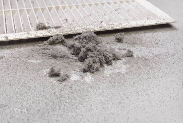 Best Home Air Vent Cleaning  in St George, MO