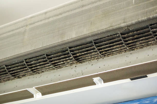 Best Air Vent Cleaning Services  in St George, MO